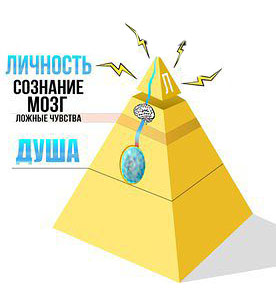 структура человека структура человека